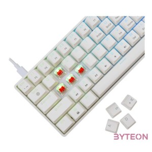 BILL White Shark GK-004211W,R-US SHINOBI-2 vezetékes mechanikus gamer billentyűzet - fehér - US