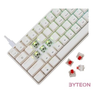 BILL White Shark GK-004211W,R-US SHINOBI-2 vezetékes mechanikus gamer billentyűzet - fehér - US