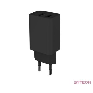 COLORWAY USB töltő CW-CHS015-BK, AC töltő 2USB AUTO ID 2.1A (10W) fekete