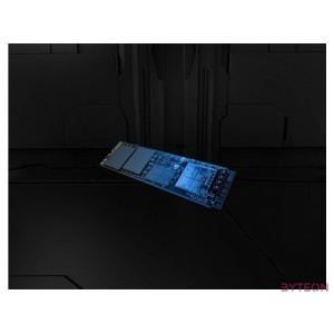 KINGSTON SSD M.2 PCIe 5.0 NVMe 2048GB FURY Renegade G5