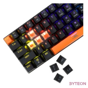 Baracuda DOLPHIN-B,R-US, BGK-03111B,R-US fekete mechanikus gamer billentyűzet piros kapcsolóval, angol