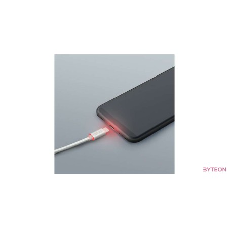 Delight ezüst USB Type-C adatkábel LED fénnyel 1m