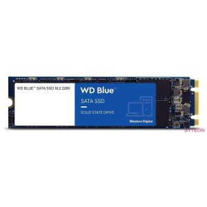 SSD-1TB WD Blue SA510 M.2 SSD WDS100T3B0B