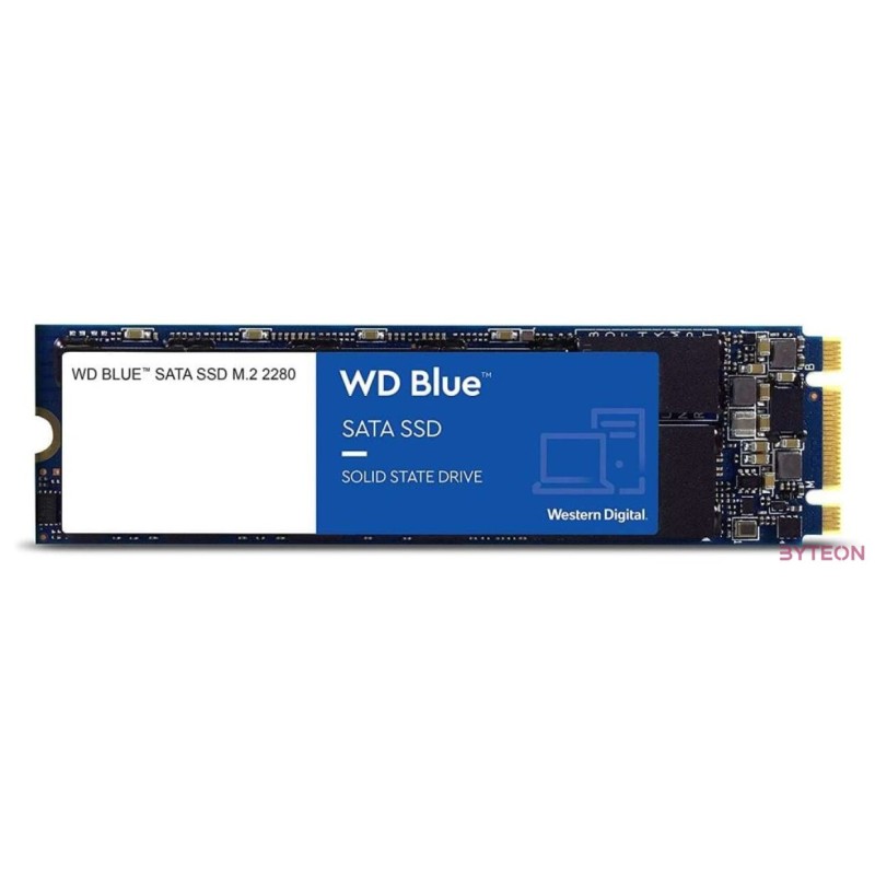 SSD-1TB WD Blue SA510 M.2 SSD WDS100T3B0B