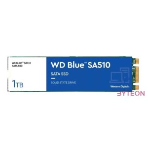SSD-1TB WD Blue SA510 M.2 SSD WDS100T3B0B
