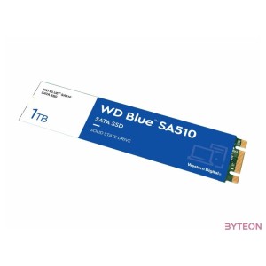 SSD-1TB WD Blue SA510 M.2 SSD WDS100T3B0B