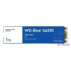 SSD-1TB WD Blue SA510 M.2 SSD WDS100T3B0B