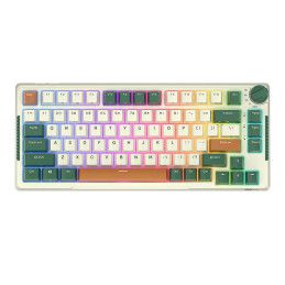 Mechanical keyboard Royal Kludge RKH81 RGB, Sky cyan switch (white)