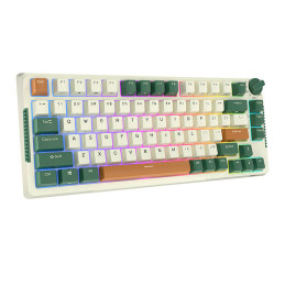 Mechanical keyboard Royal Kludge RKH81 RGB, Sky cyan switch (white)