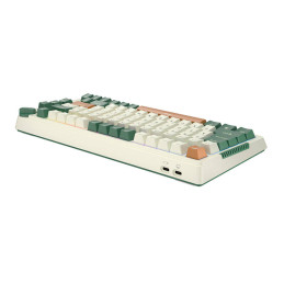 Mechanical keyboard Royal Kludge RKH81 RGB, Sky cyan switch (white)