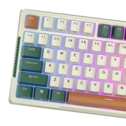 Mechanical keyboard Royal Kludge RKH81 RGB, Sky cyan switch (white)