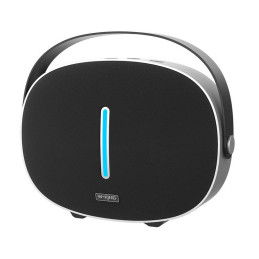 Wireless Bluetooth Speaker W-KING T8 30W (black)