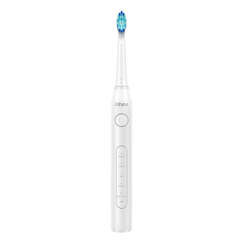 Sonic toothbrush with tips set and water flosser Bitvae D2+C2 (white)