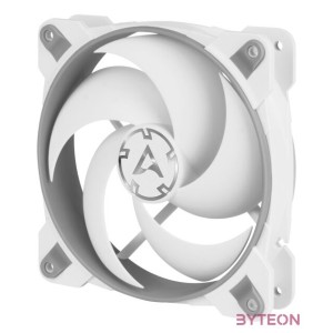 Arctic BioniX P120 Grey,White