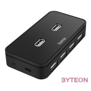 Hama 200123 USB-A HUB (7 port)