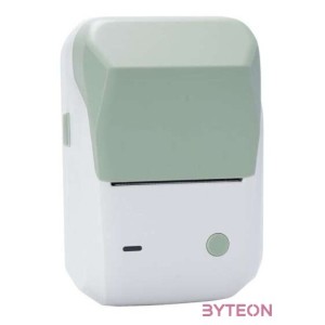Niimbot B1 wireless label printer (green)