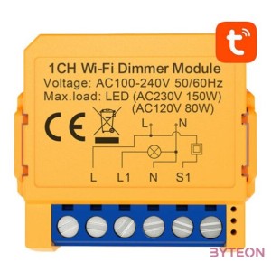Smart socket switch WiFi Avatto DMS16-2 TUYA