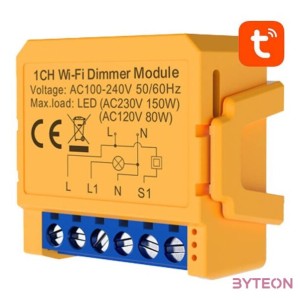 Smart socket switch WiFi Avatto DMS16-2 TUYA