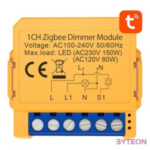 Smart socket switch ZigBee Avatto ZDMS16-2 TUYA
