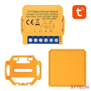 Smart socket switch ZigBee Avatto ZDMS16-2 TUYA